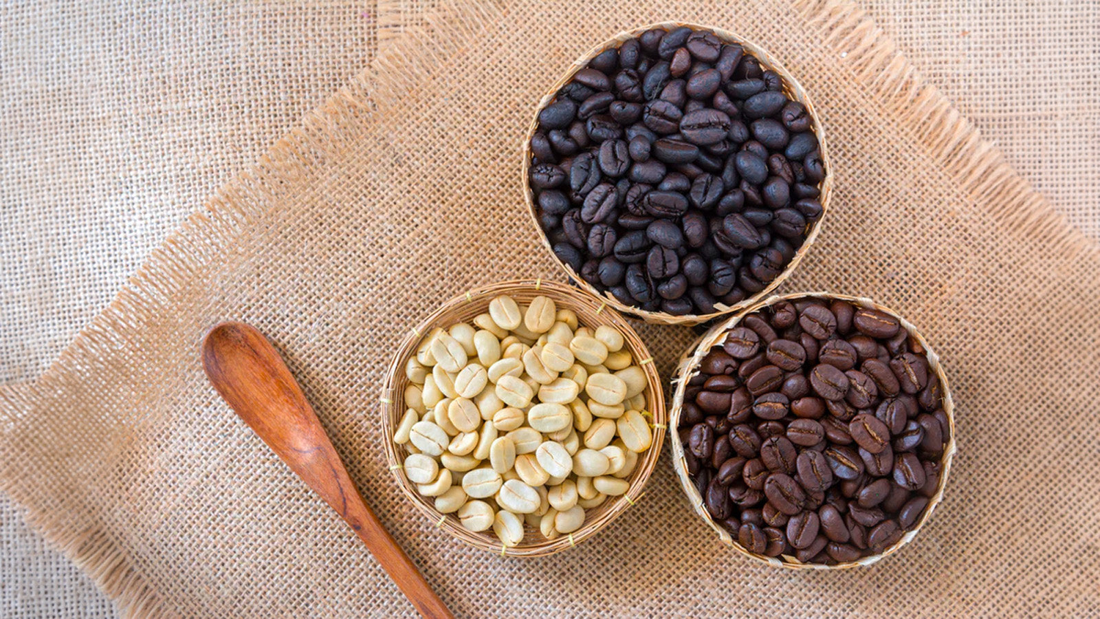 Zoégas Coffee Guide: The Difference Between Tradition, Selected, and Organic Coffee