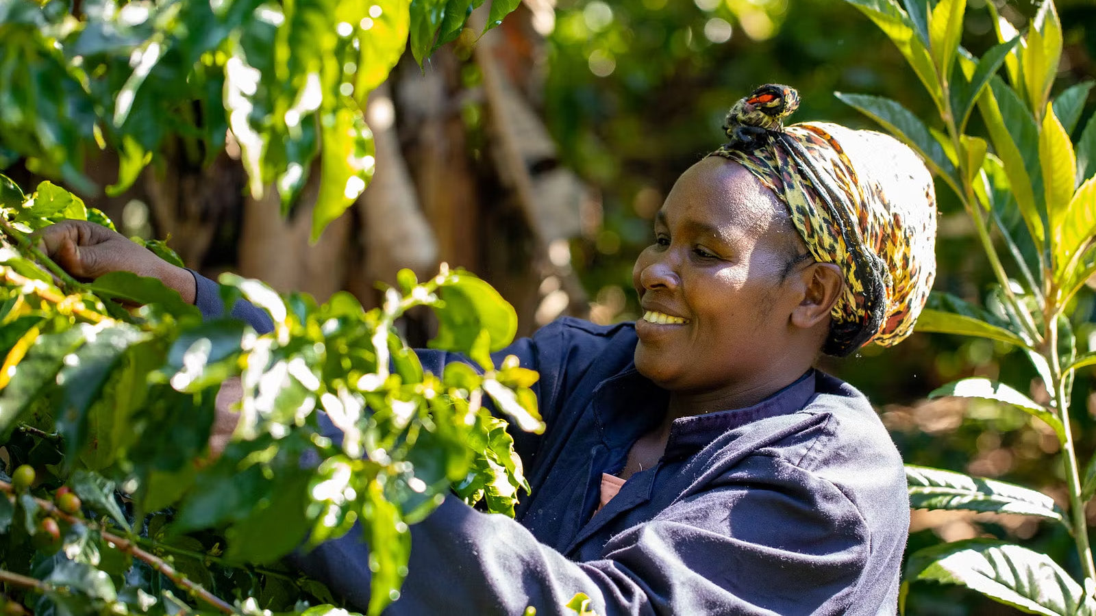Coffee By Women - Zoéga's Sustainability Programme